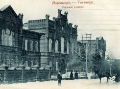 Училище, которое закончил архитектор Троицкий, 146 лет назад открылось в Воронеже