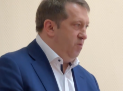 «Я не преступник и не мошенник»: воронежский депутат Жогов выступил с последним словом в суде 