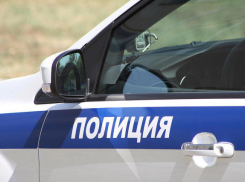 В Воронежской области полицейские обезвредили банду серийных воров