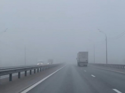 Непроглядный туман на трассе М-4 предсказал ухудшение погоды в Воронежской области