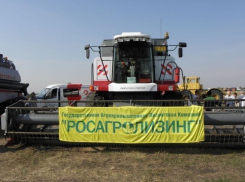 Брат редактора воронежского «Коммерсанта» стал фигурантом уголовного дела «Росагролизинг»