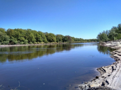 Под Воронежем дачники отвоевали у элитного поселка берег реки