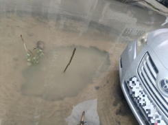 «Тойота» запретила воронежским водоканальщикам избавиться от озера на Московском проспекте