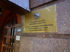 Объявлено название новой организации в структуре воронежского правительства 