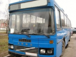 В Воронеже обновят автобусы и маршруты в четыре ближайших года