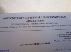 Воронежцев предупредили о сантехниках-аферистах из компании «Вода Канал»