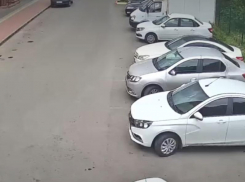 «Томный поцелуй» авто: ДТП без участия людей попало на видео в Воронеже