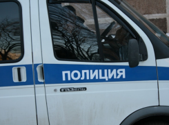 В Воронежской области молодой человек подозревается в 30 кражах