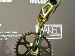 «Веловоронеж» стал лучшим в России велопроектом 