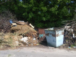 Работают с пинка: как порицание в СМИ заводит чиновников в Воронежской области 