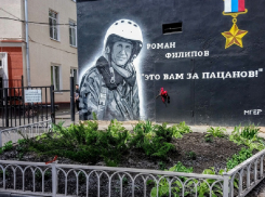 В Воронеже обустроят территорию у граффити героически погибшего летчика Романа Филиппова 