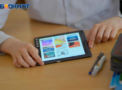 О минусах дистанционного обучения рассказала учительница из Воронежа 