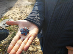 Орден Отечественной войны нашли в неожиданном месте в Воронеже