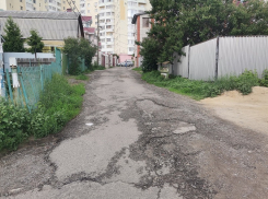 Позорное состояние исторического переулка показали в Воронеже 