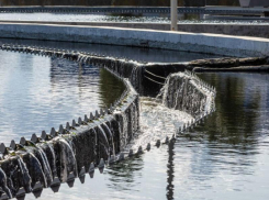 Мэрия Воронежа назвала причину вонючего апокалипсиса