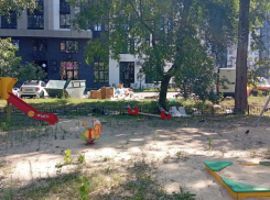 «Дети играют в мусор»: воронежцы пожаловались на соседство детской площадки и мусорного бака