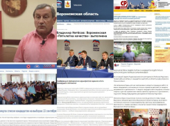 «Единая Россия» и ЛДПР выдвинули кандидатов на выборы: чем за неделю отличились партии в Воронеже