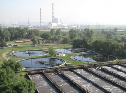 Знаменитая воронежская вонь привела к уголовному делу