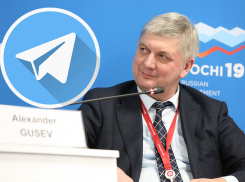 Александра Гусева как «хромую утку» гонит телеграмная рать 