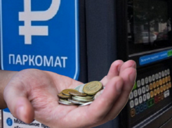 Выяснилось, сколько миллионов отдали воронежцы за неоплаченные парковки за неделю