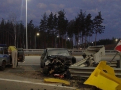 На воронежской трассе в ДТП пострадала семья из Подмосковья 