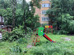 Сухое дерево у детской площадки держит воронежцев в страхе