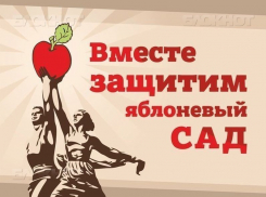 На митинге против застройки яблоневого сада в Воронеже собрали 500 подписей