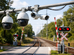  Камеры видеонаблюдения поставили по требованию ФСБ на Левом берегу Воронежа