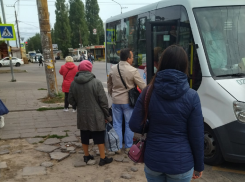 Документы о повышении тарифов на воронежских маршрутках передали в областное правительство 