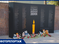 Стенд в честь погибших детей Донбасса установили в центре Воронежа
