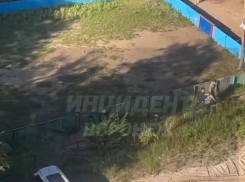 Группа подростков зверски избила мужчину в Воронеже