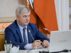 Гигантоманией продолжают заниматься в правительстве Воронежской области 
