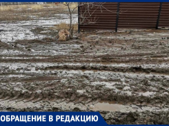 Скидывались и засыпали сами: жители воронежского села призвали власти сделать ремонт дороги