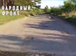 Дорога неисполненных обещаний беспокоит жителей Воронежской области