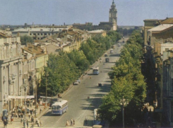 4 тысячи деревьев и 19 тысяч кустарников планируют высадить в Воронеже в 2026 году 