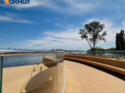 Губернатор Гусев поддел мэра Петрина за туманные перспективы Петровской набережной