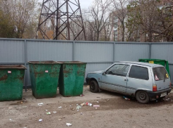 Шокирующую находку обнаружили на мусорке в Воронеже