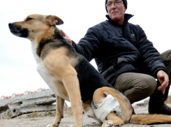 «Животных убивают – это нормально, а с плакатом выйти – преступление»: в Воронеже у здания полиции задержали зоозащитника