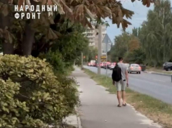 Выкинуть мусор и не попасть под колеса: тесное соседство с дорогой стало игрой на выживание для воронежцев