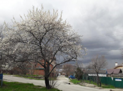 Почему воронежцам станет мокро в середине недели, рассказали синоптики