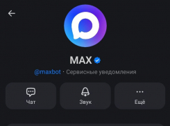 Фейк о массовом взломе мессенджера MAX развенчали в Воронеже