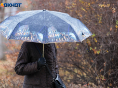 Это не шутки: апрель начнется с дождей в Воронежской области 