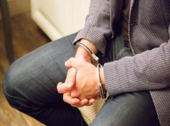 Напавшего на почтальона воронежского пенсионера отправили в колонию на 2,5 года