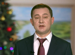 Спикер облдумы Владимир Нетесов дал воронежцам обещание к Новому году