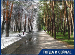 Что стало отправной точкой благоустройства парков Воронежа