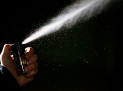 В Воронежской области распылили газ в школе: 10 детей в больнице