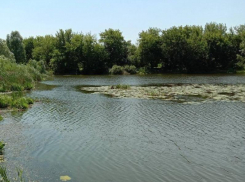 Замусорившему памятник природы арендатору не дали уйти от многомиллионного штрафа в Воронежской области 