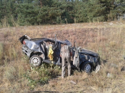 В Воронежской области столкнулись две иномарки: есть пострадавшие