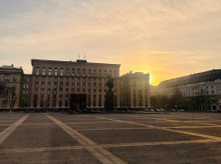 Бронированные рольставни закупают для здания воронежского правительства 