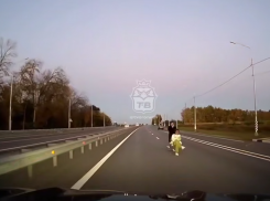 Недетские забавы посреди дороги сняли под Воронежем